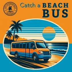 Beach Bus Options Make Coastal Trips Easy