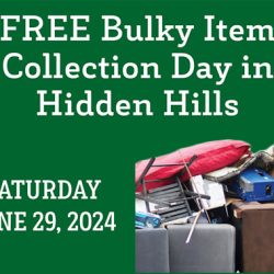 Bulky Item Pick-Up Day