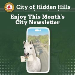 City E-Newsletter