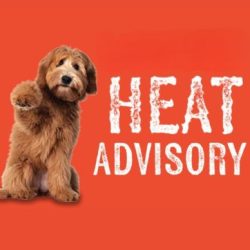 Heat Advisory