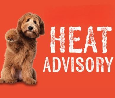 Heat Advisory