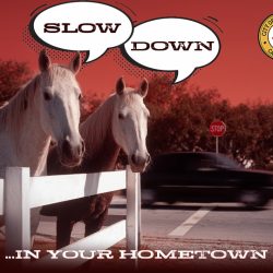 Drive Like Your Neighbors Live Here (Because they DO)