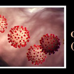 Covid-19 Information